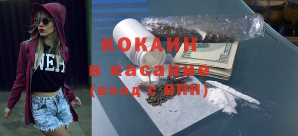 шишки Балахна