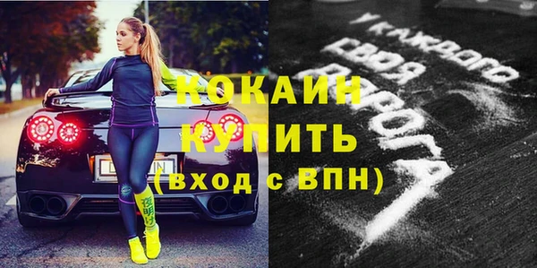 шишки Балахна