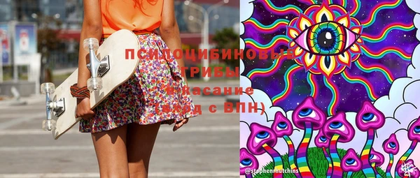 шишки Балахна