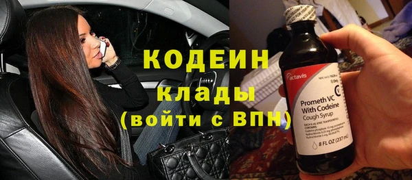 шишки Балахна